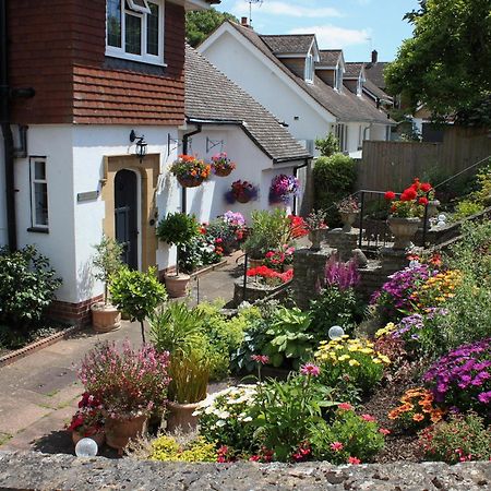 Ashlea At Amberley Villa Sidmouth Eksteriør billede